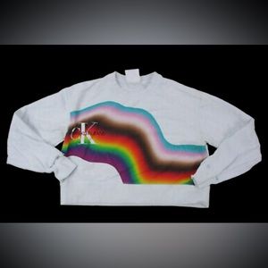 Calvin Klein Rainbow crop top sweater